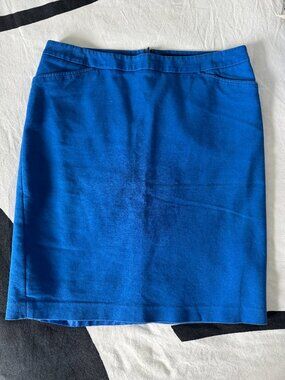 Chaus Royal Blue A Line Career Skirt Office Wear Sz 10